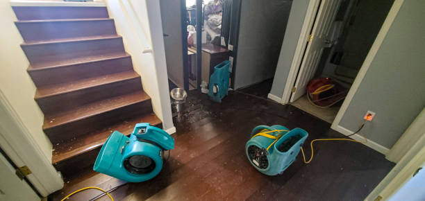 Best Fire Damage Restoration  in Sand Ridge, NY