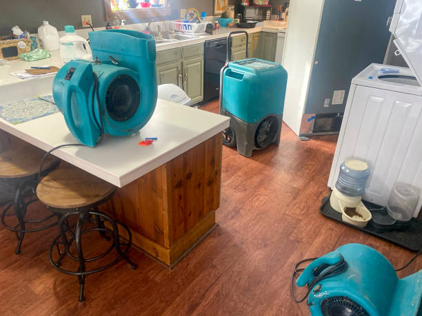 Best Basement water damage restoration  in Sand Ridge, NY
