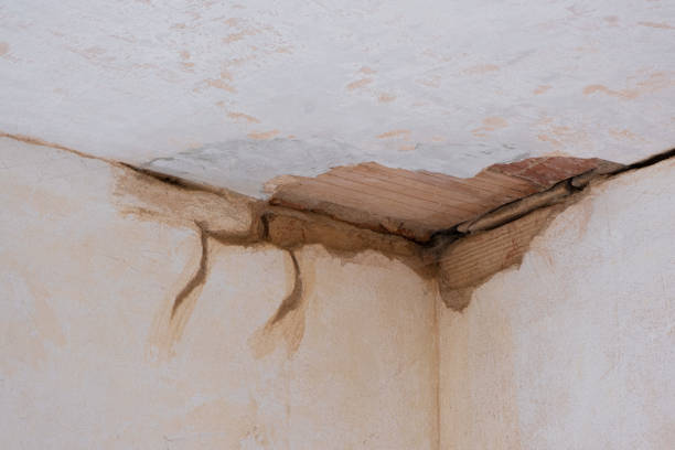 Best Carpet water damage restoration  in Sand Ridge, NY