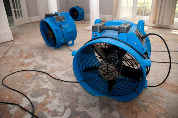 Reliable NY Water damage restoration Solutions