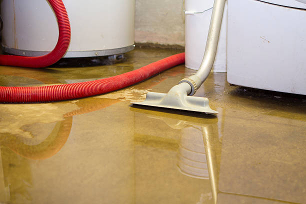 Best Ceiling water damage repair  in Sand Ridge, NY