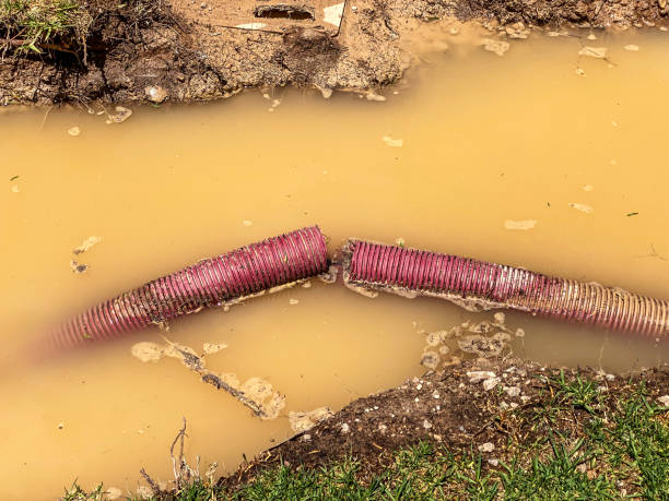 Best Local water damage restoration  in Sand Ridge, NY